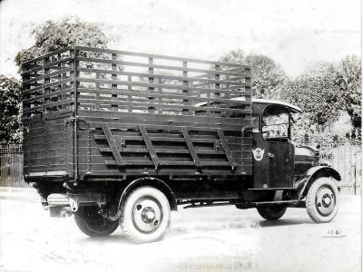 Cattle/Sheep Truck
