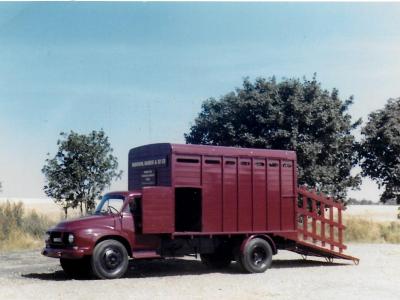Sheep Truck